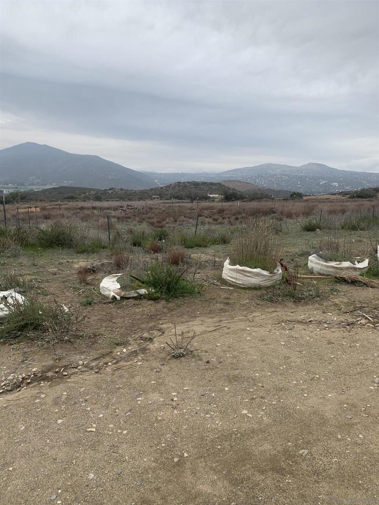 MLS #250034816SD image #46