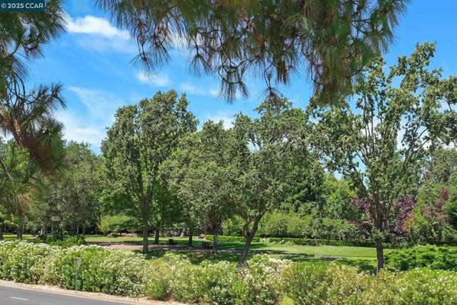 1133 Golden Rain Road, Walnut Creek CA: https://media.crmls.org/mediaz/3e124bb8-1933-4719-82e8-cafa463da43c.jpg