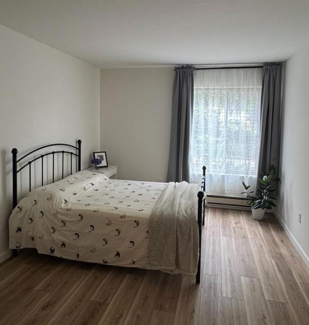 1730 Halford Avenue, Santa Clara CA: https://media.crmls.org/mediaz/3e296ee3-a393-4260-85aa-80689a66a6f9.jpg