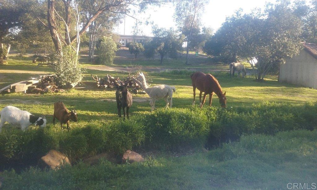 6490 Rainbow Heights Road