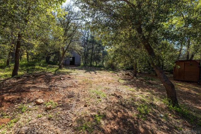 3131 Pera Alta Dr, Julian CA: https://media.crmls.org/mediaz/3e2f72a9-7550-4f50-a2e5-90ea8e605083.jpg