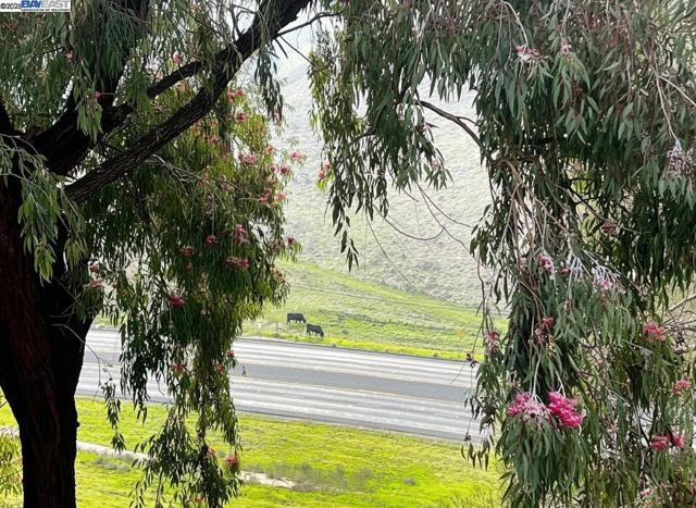 405 Thistle Cir, Martinez CA: https://media.crmls.org/mediaz/3e2f746d-e870-4e96-a502-dc89984e8e35.jpg