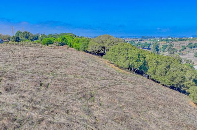 15108 Castroville Boulevard, Castroville CA: https://media.crmls.org/mediaz/3e3bd6a1-5f5a-40b7-bb2b-309f331439ab.jpg