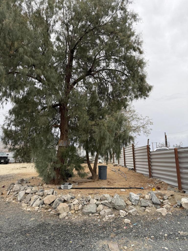 MLS #219134630DA image #25