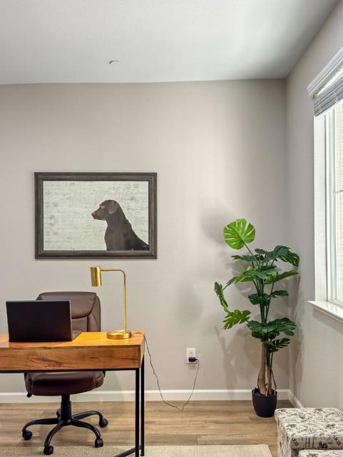 343 Williams Way, Hayward CA: https://media.crmls.org/mediaz/3e42d0e9-07c7-4376-be3a-2d7f5b998742.jpg