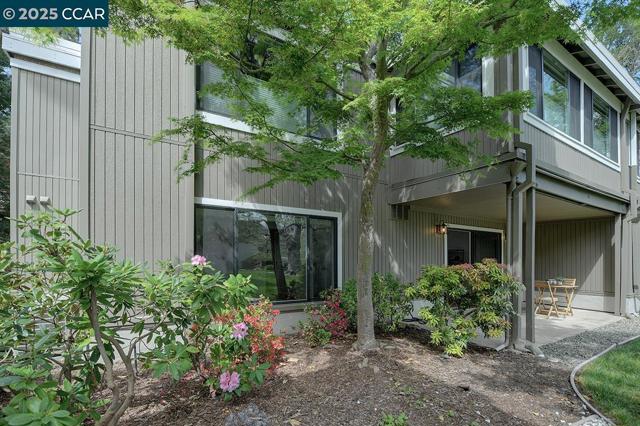 1317 Stanley Dollar Dr, Walnut Creek CA: https://media.crmls.org/mediaz/3e43e9e3-b05e-44b0-b156-6b621d1a086d.jpg