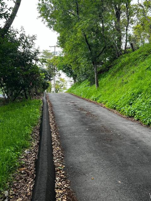 MLS #ML81959106 image #10