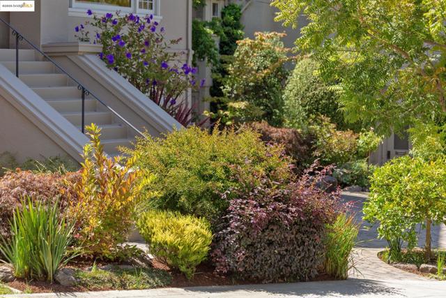 541 Boulevard Way, Piedmont CA: https://media.crmls.org/mediaz/3e5535fe-2b49-4389-a6d1-8a952ffe1ed6.jpg