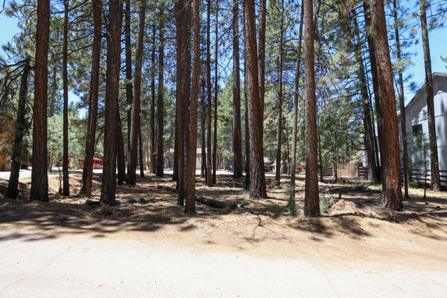 689 Summit Boulevard, Big Bear CA: https://media.crmls.org/mediaz/3e5f2d2f-c01c-4e6d-b76f-64a58853bbf5.jpg