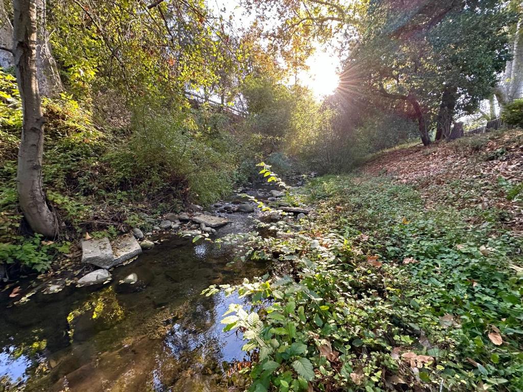 https://media.crmls.org/mediaz/3e66073e-004f-4c5b-ad50-f62d34a84851.jpg?preset=X-Large