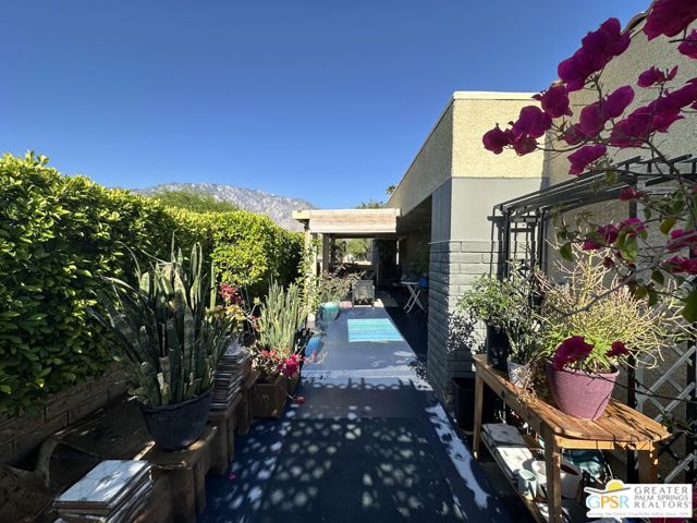 1533 N Sunflower Court, Palm Springs CA: https://media.crmls.org/mediaz/3e798c4c-8abc-4e09-9295-3a09e6de7911.jpg