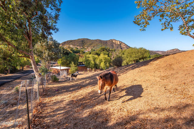 356 E Carlisle Road, Thousand Oaks CA: https://media.crmls.org/mediaz/3e7ee8ee-27e0-4f42-bb65-4b96661c7887.jpg