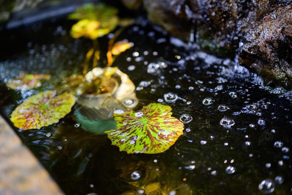 https://media.crmls.org/mediaz/3e8b5d43-eedf-4bf6-b07a-d316ac2deb88.jpg?preset=X-Large