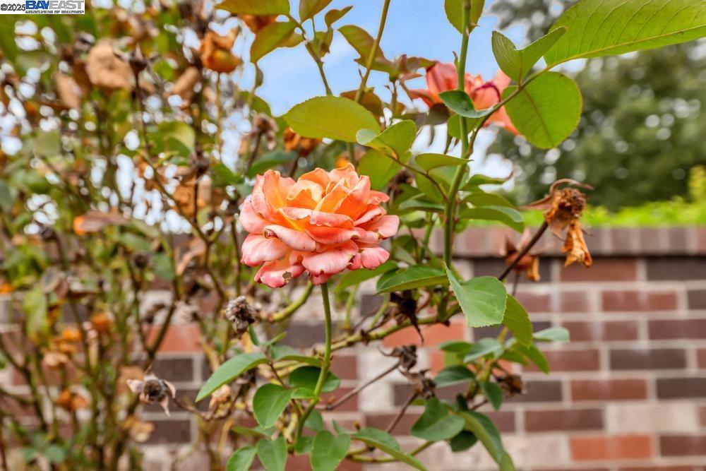 https://media.crmls.org/mediaz/3e9534e2-3021-4526-bf5f-f9ad6f27412e.jpg?preset=X-Large