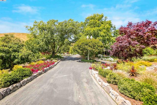 8700 Oak Tree Ln, Castro Valley CA: https://media.crmls.org/mediaz/3e9cca78-b5b0-43de-893d-67784dfa02c5.jpg