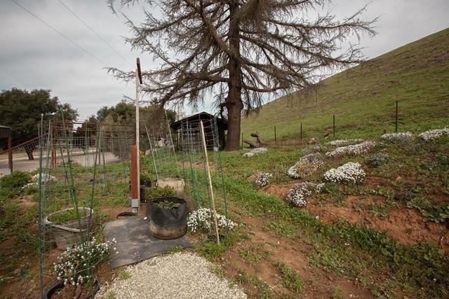 820 Comstock Road, Hollister CA: https://media.crmls.org/mediaz/3eb871bf-6822-4cd1-b07a-55cf6f6d0772.jpg