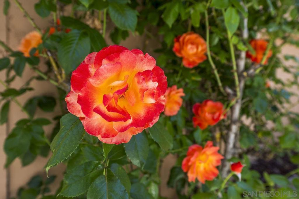 https://media.crmls.org/mediaz/3ebeeca0-a406-4fd4-aa58-9f4abf267409.jpg?preset=X-Large