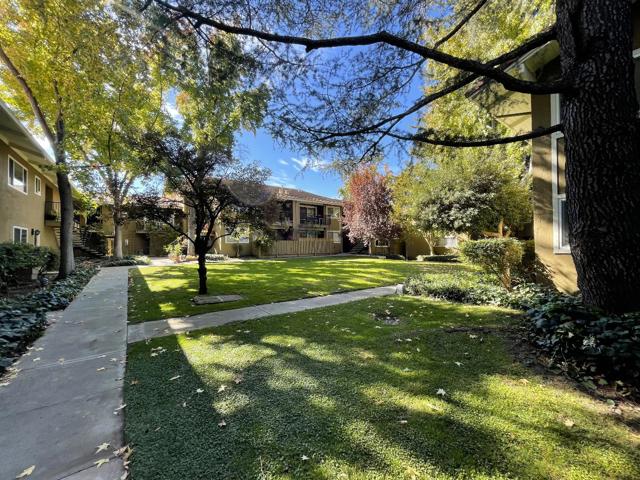 420 Alberto Way, Los Gatos CA: https://media.crmls.org/mediaz/3ec4ea10-3f6a-444d-b6ac-b0fffaa29b52.jpg