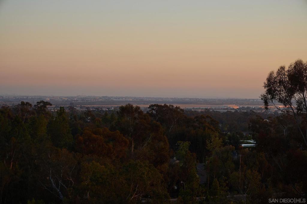 11037 Caminito Vista Pacifica - photo 18