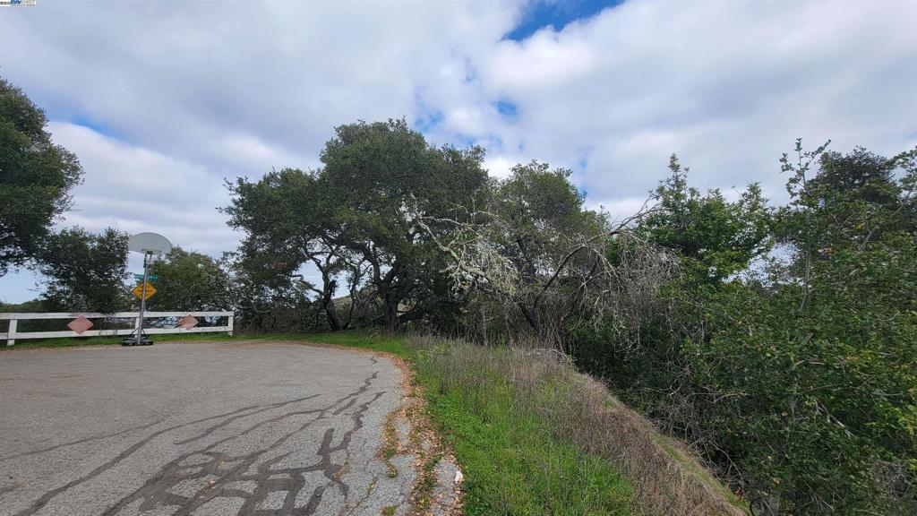 MLS #41084289 image #6