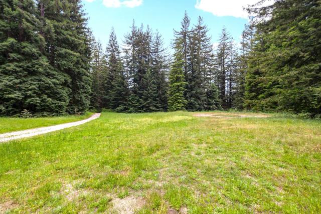3675 Bonny Doon Road, Santa Cruz CA: https://media.crmls.org/mediaz/3ed1eeb1-ea13-4990-99c0-cb2ca34f95e6.jpg