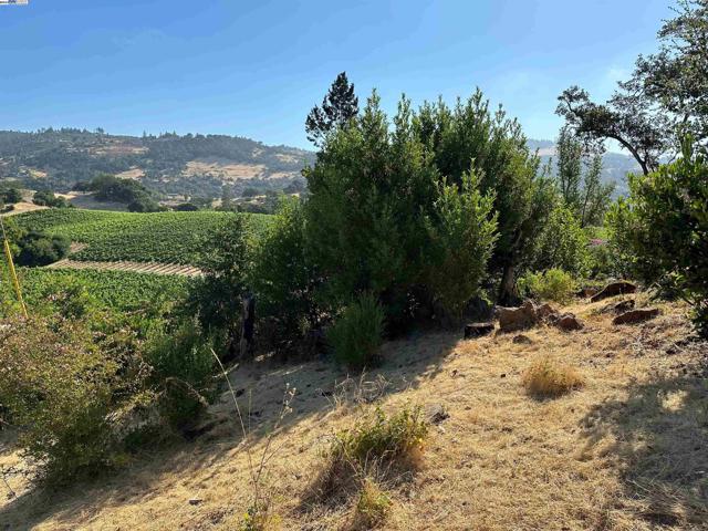 Image 2 of 10 For 2250 Riebli Rd