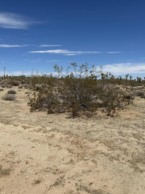 0 Sun Oro Road Road, Yucca Valley CA: https://media.crmls.org/mediaz/3ee703b9-f9a9-495d-a69f-59b78613c3f5.jpg