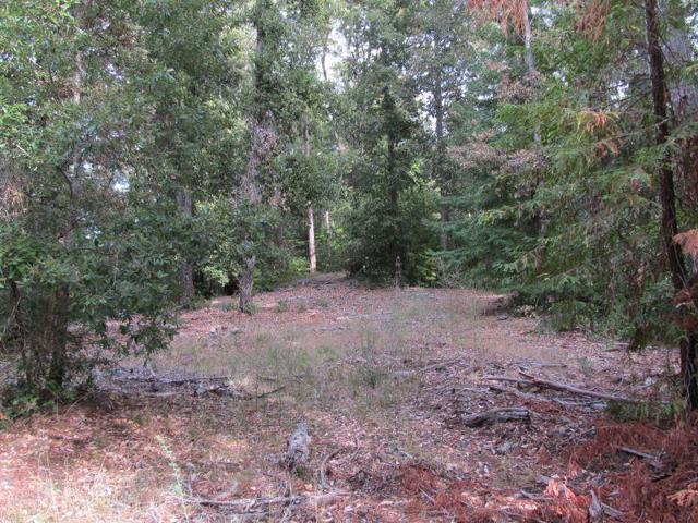 0 E Hilton, Boulder Creek CA: https://media.crmls.org/mediaz/3ee84f8a-b3a7-481e-98d5-4280c42e1a4b.jpg