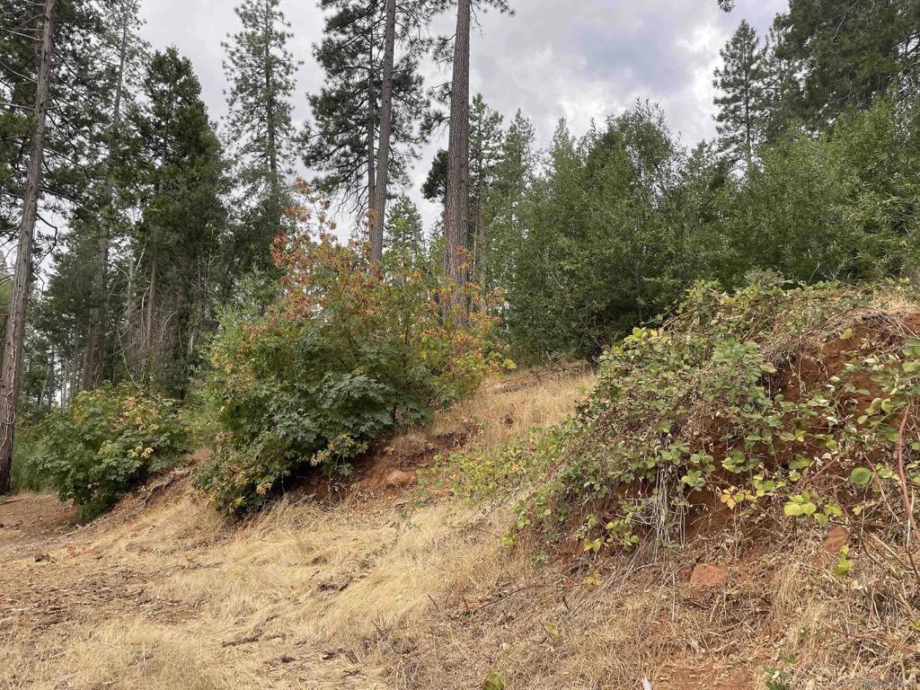 MLS #250037729SD image #10