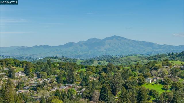 102 Hillcrest Dr, Orinda CA: https://media.crmls.org/mediaz/3eeebd75-5b72-4167-a5d6-30ba9ca405f4.jpg