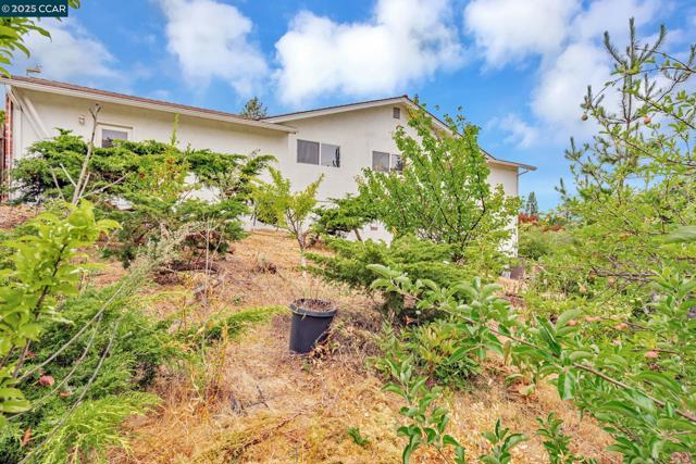 92 Gaywood Pl, Moraga CA: https://media.crmls.org/mediaz/3eefda5b-67c8-443a-b896-19a7bfcf6008.jpg