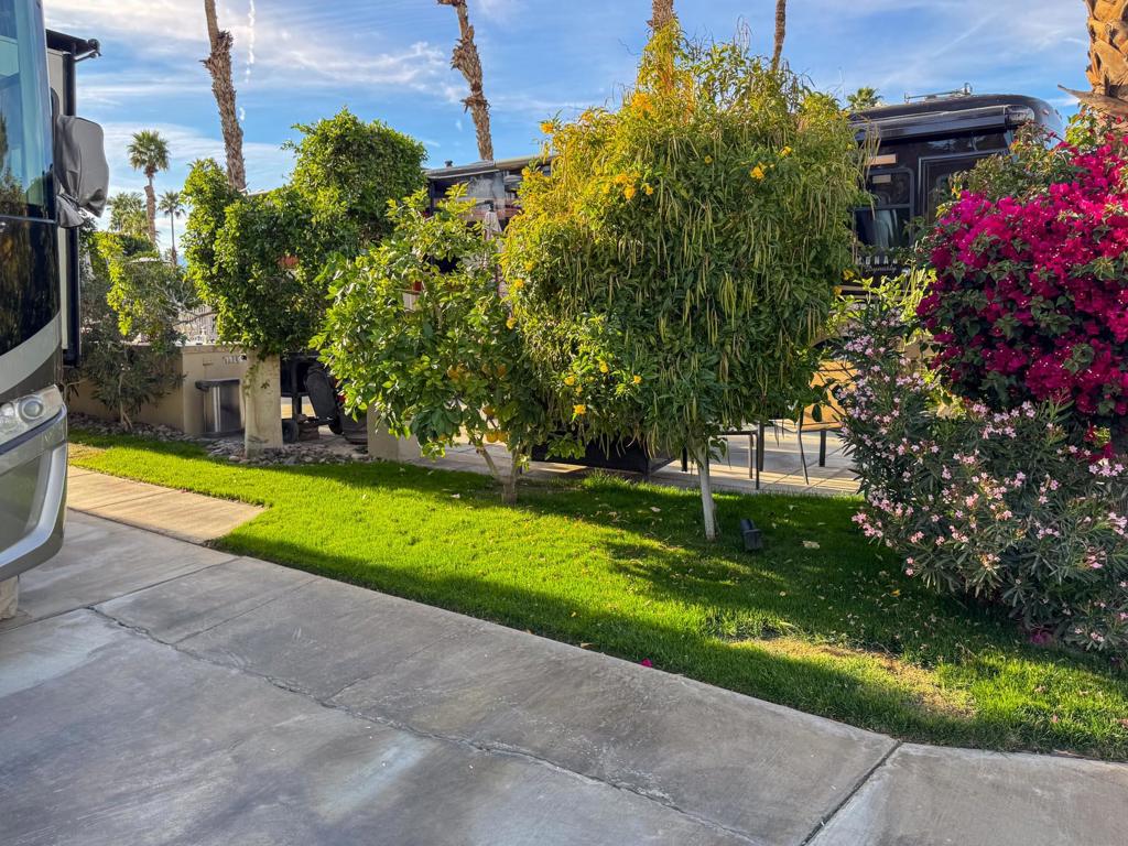 MLS #219125315DA image #4