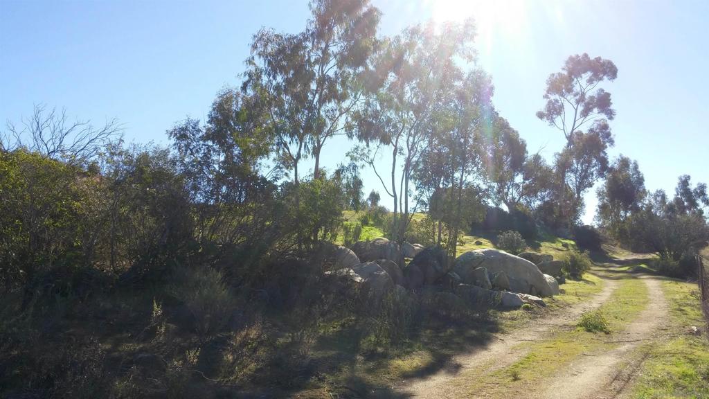 MLS #250037625SD image #19