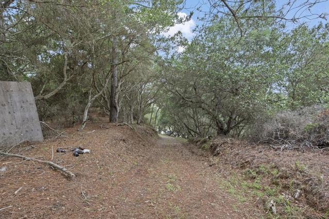 0 Campagna Way, Royal Oaks CA: https://media.crmls.org/mediaz/3f262826-3768-43d6-a95c-20c5d41fcc53.jpg