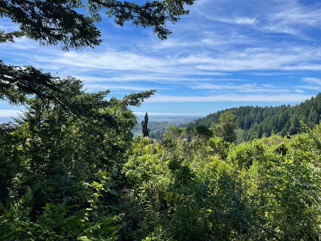 MLS #ML81979482 image #24