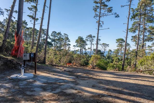 90 Crest Road, Carmel CA: https://media.crmls.org/mediaz/3f284503-f80e-4291-bbed-b5cb4eb80ae8.jpg
