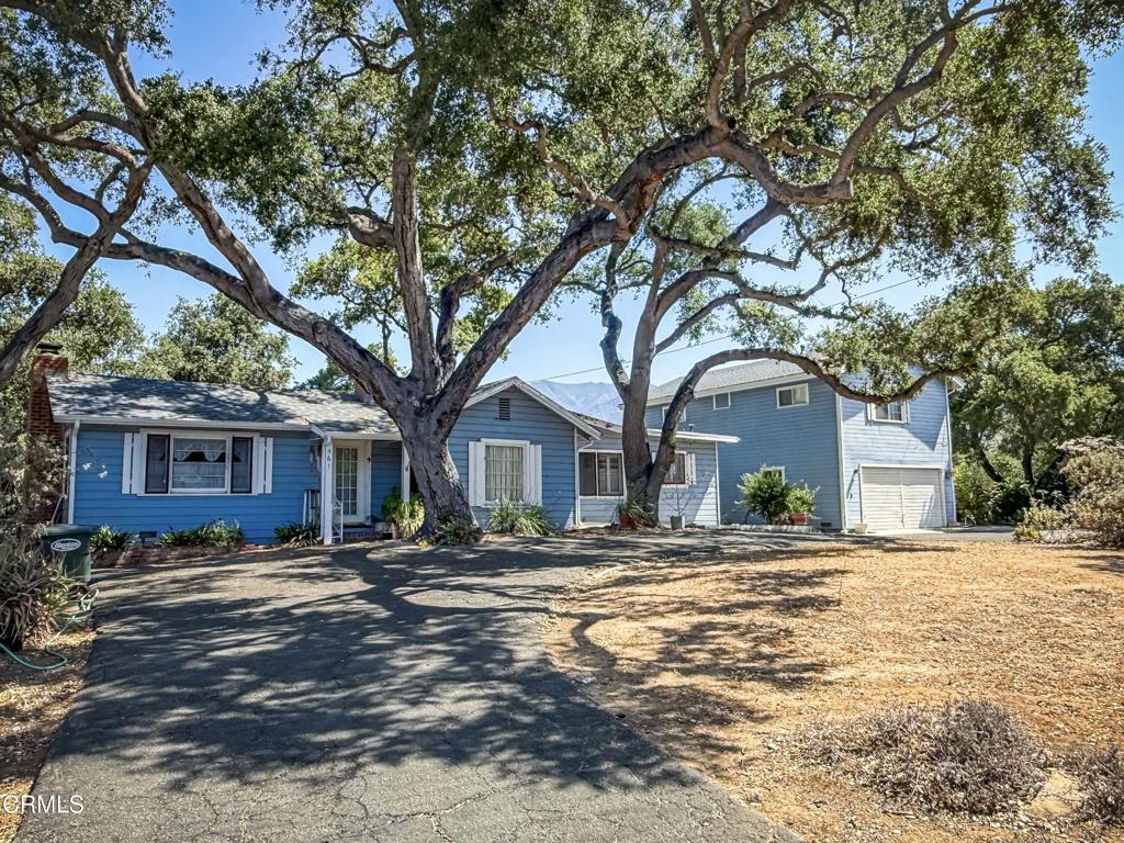 561 Tico Road