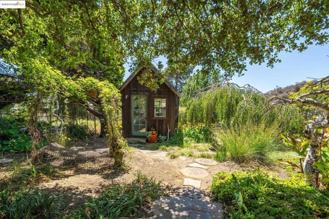 917 Avis Dr, El Cerrito CA: https://media.crmls.org/mediaz/3f36bfd7-4a1a-4299-a6af-57a5280c6d4d.jpg