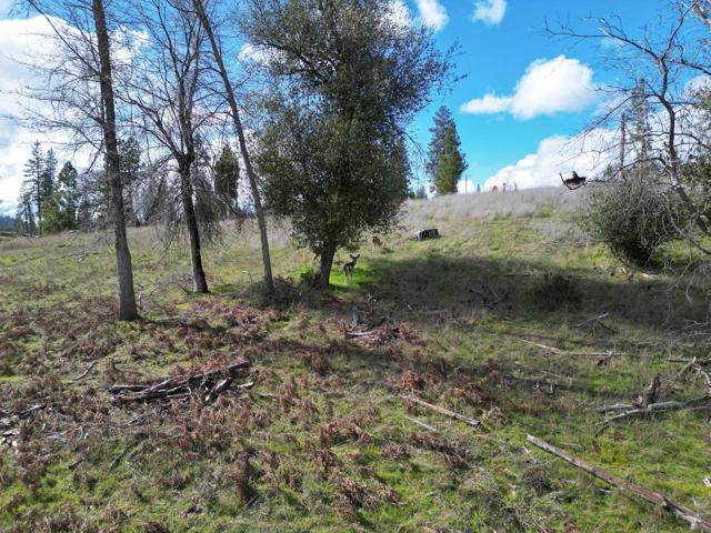 Image 14 of 24 For 5135 Old Emigrant Trail West