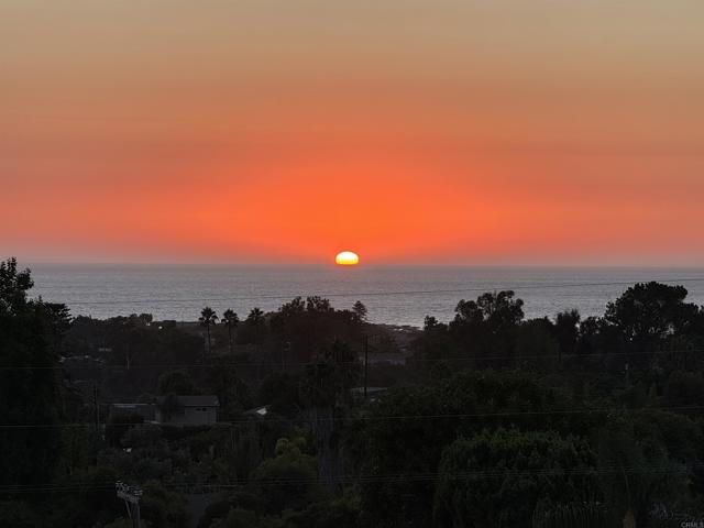 Detail Gallery Image 4 of 64 For 1669 Burgundy Rd., Encinitas,  CA 92024 - 6 Beds | 3/2 Baths