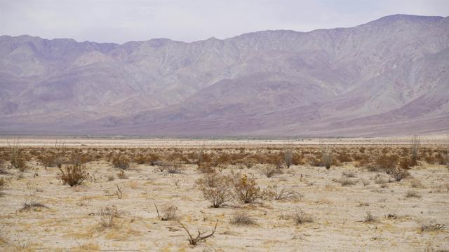 Image 12 of 30 For 0 Borrego Salton Sea Way