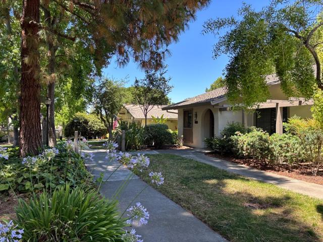 5235 Cribari, San Jose CA: https://media.crmls.org/mediaz/3f45bc16-a2a0-42b8-a2fe-9c7ec96108d9.jpg