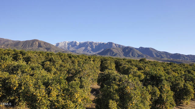 1797 Foothill Road, Ojai CA: https://media.crmls.org/mediaz/3f609d02-9665-41db-8835-e6365d64dd72.jpg