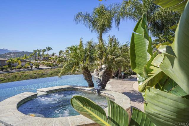 Detail Gallery Image 50 of 68 For 334 Old Stagecoach Run, Alpine,  CA 91901 - 4 Beds | 3/1 Baths