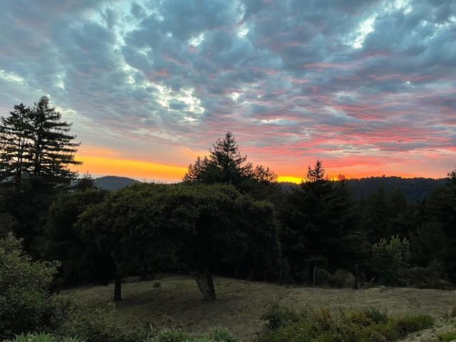 1584 Tindall Ranch Road, Corralitos CA: https://media.crmls.org/mediaz/3f6e13c4-f2a8-4319-9c92-88c6fd479832.jpg