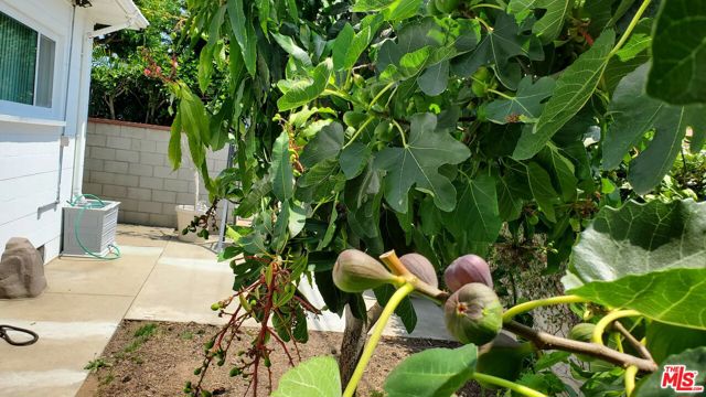 8130 Grimsby Avenue, Los Angeles CA: https://media.crmls.org/mediaz/3f83b497-77e0-4e8d-92db-7bd458c65cd2.jpg