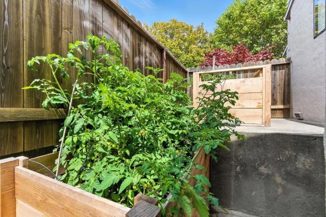 535 Acacia Avenue, San Bruno CA: https://media.crmls.org/mediaz/3f83e6cc-e361-4fe2-a075-bc26dd064521.jpg