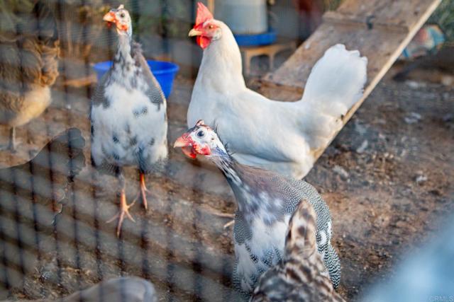 Detail Gallery Image 44 of 58 For 30837 Palomar Vista Dr, Valley Center,  CA 92082 - 4 Beds | 3 Baths