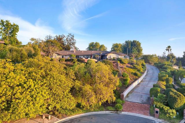 17505 Corte Lomas Verde, Poway CA: https://media.crmls.org/mediaz/3f9a13d3-261b-4858-ab6b-0146d260fe53.jpg