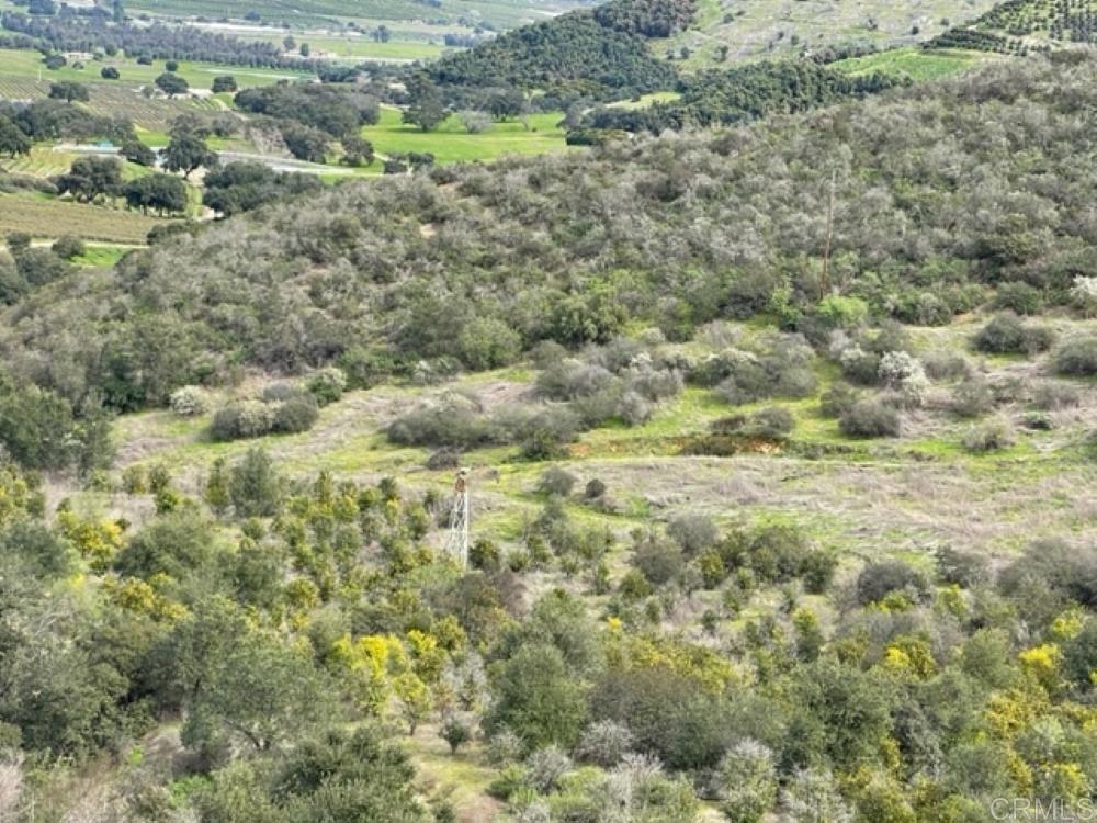 MLS #NDP2410587 image #10